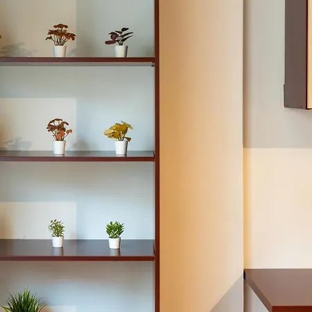 Ernest * بودابست